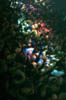 butch_crowd4