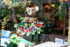 bear window display