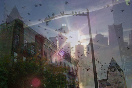 city_at_peace
