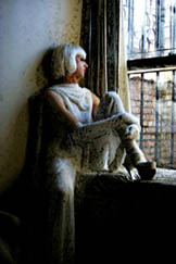 tammi by window